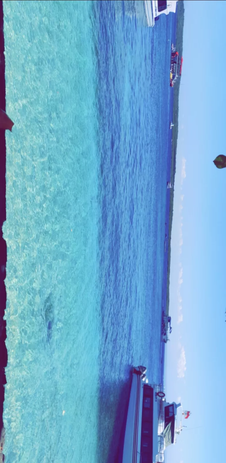 Photo of Bali :7 Days Travel Guide by Tanya Singh