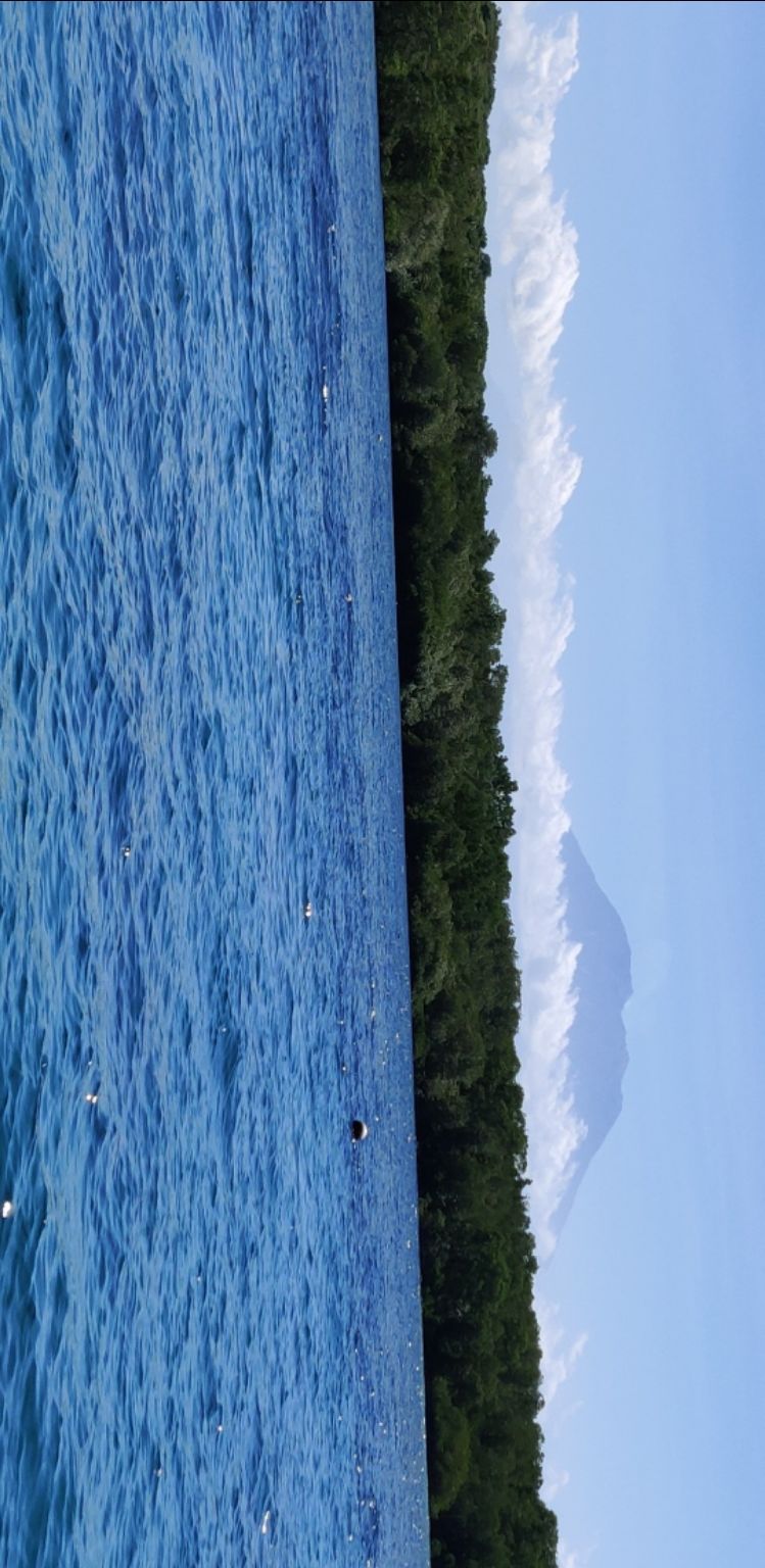 Photo of Bali :7 Days Travel Guide by Tanya Singh