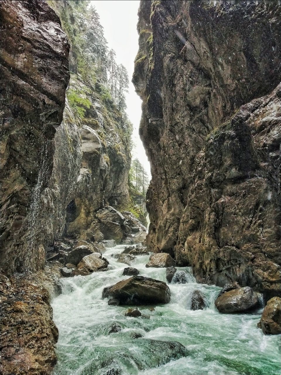 Photo of Bavaria, Germany by Harshitha Bhat