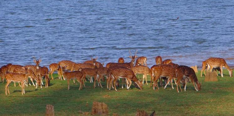 Photo of You've Got 10 Long Weekends in 2022, and We've Planned the Perfect Getaway for Each of Them! 2/10 by Mastane Musafir