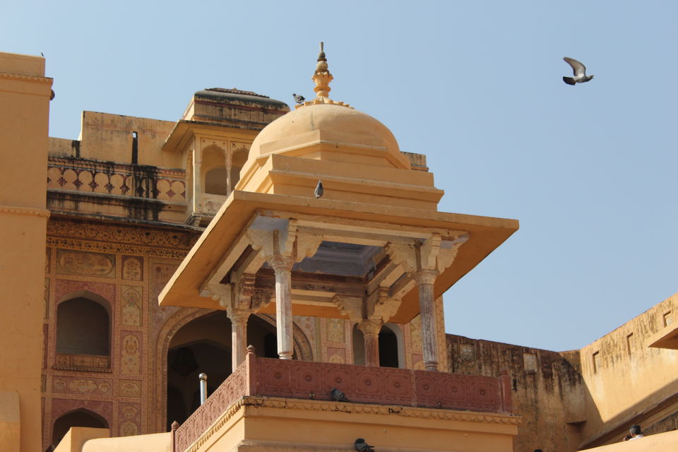 Photo of Our Backpackers Journey to Pink city 1/4 by Vanshika Rastogi