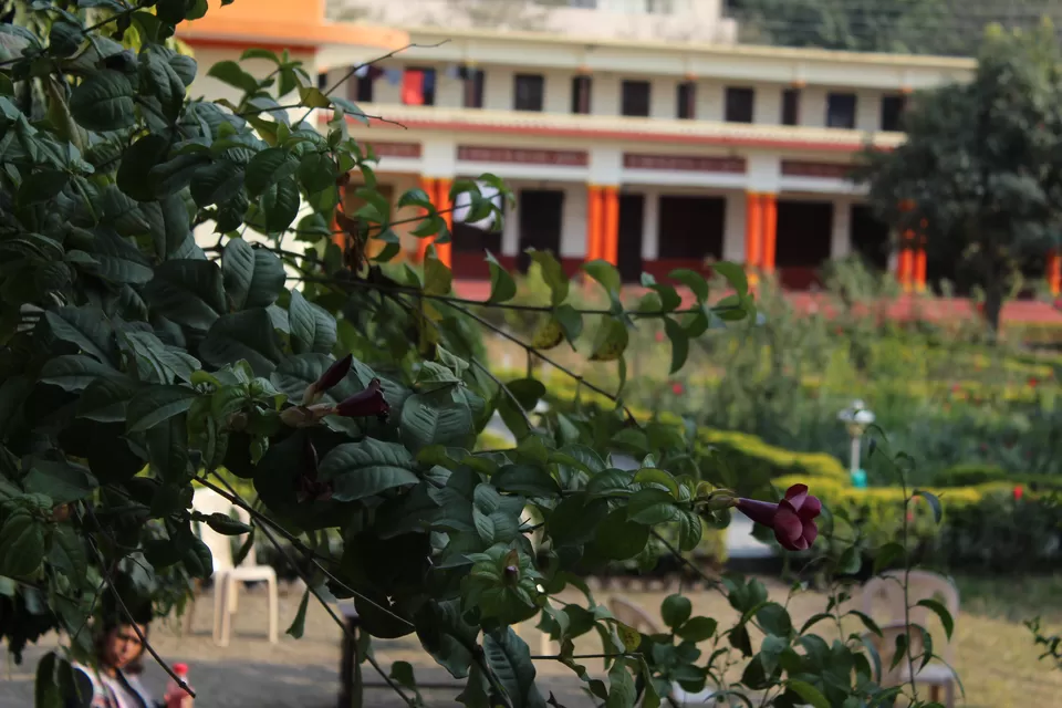 Photo of Ved Niketan Dham, Swarg Ashram, Rishikesh, Uttarakhand, India by Vanshika Rastogi