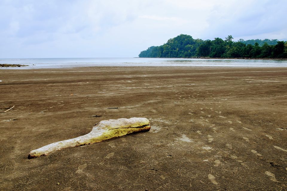 Photo of Diglipur, Andaman and Nicobar Islands, India by Himadri Gorai