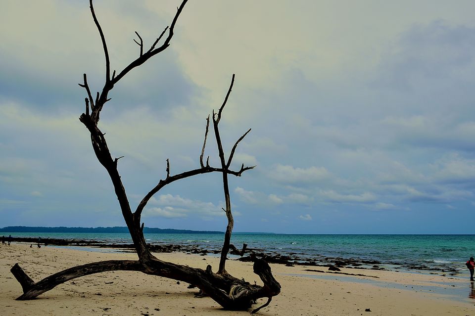 Photo of Havelock Island, Andaman and Nicobar Islands by Himadri Gorai