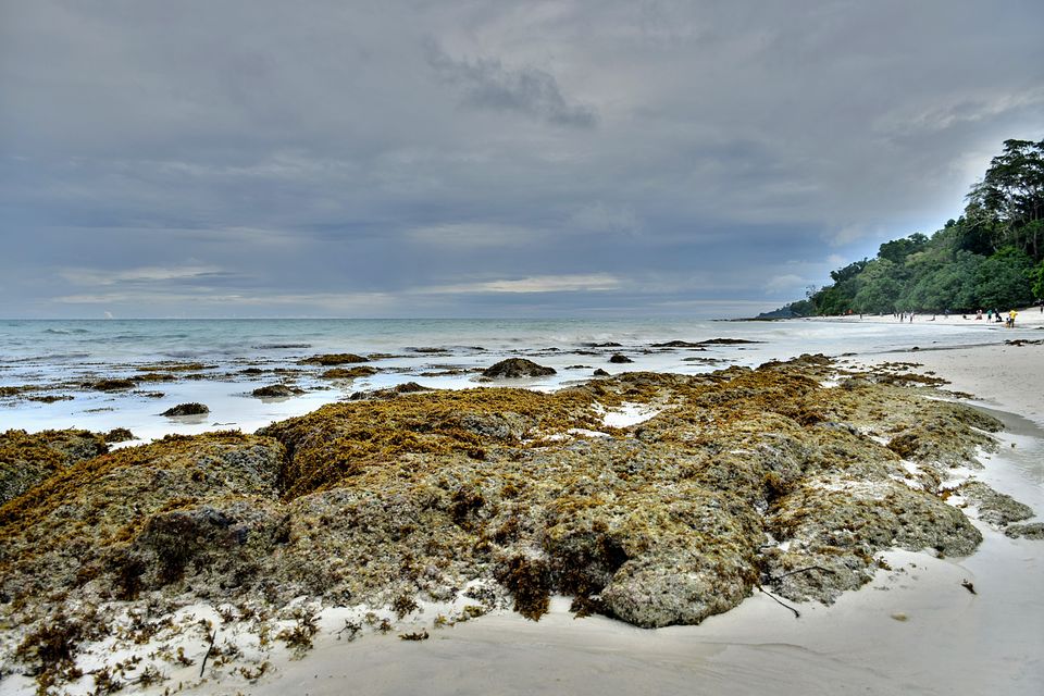 Photo of Havelock Island, Andaman and Nicobar Islands by Himadri Gorai