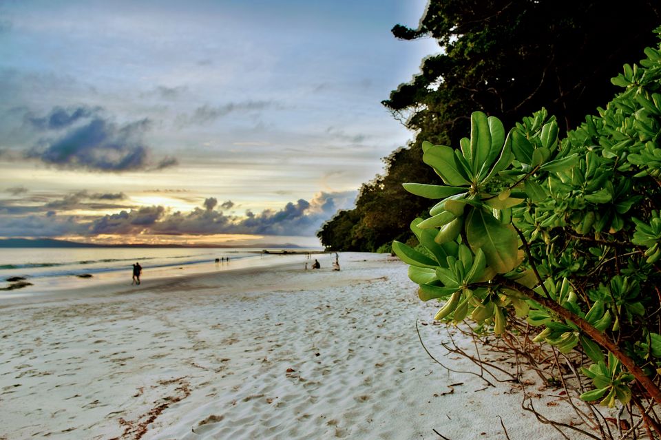Photo of Radhanagar Beach, Andaman and Nicobar Islands by Himadri Gorai