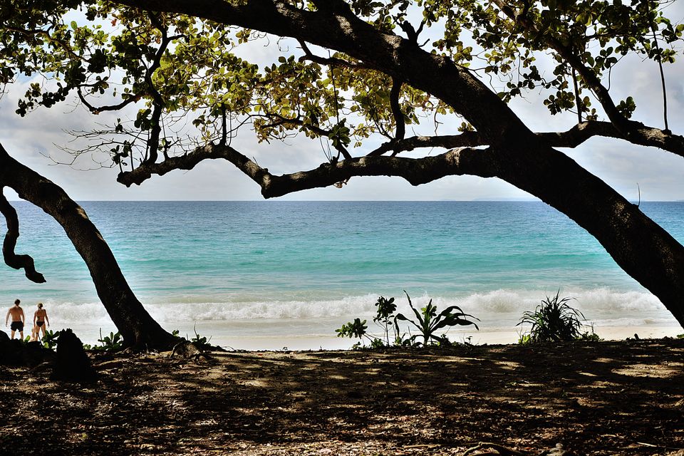 Photo of Radhanagar Beach, Andaman and Nicobar Islands by Himadri Gorai