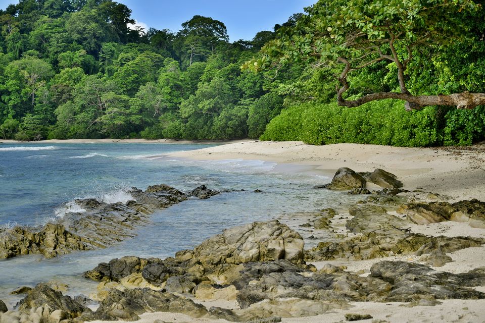 Photo of Radhanagar Beach, Andaman and Nicobar Islands by Himadri Gorai