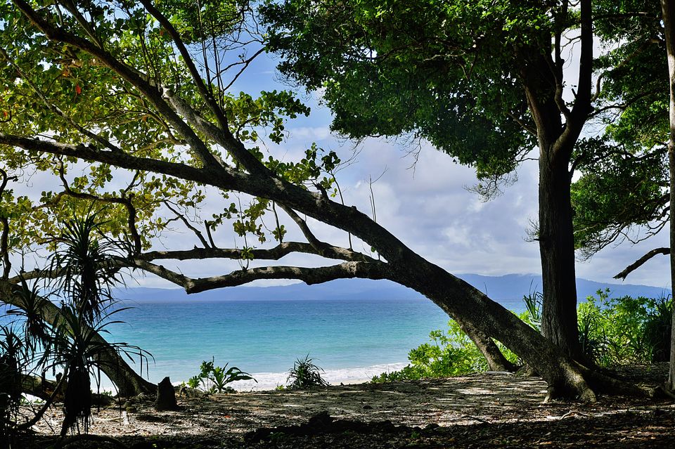 Photo of Radhanagar Beach, Andaman and Nicobar Islands by Himadri Gorai