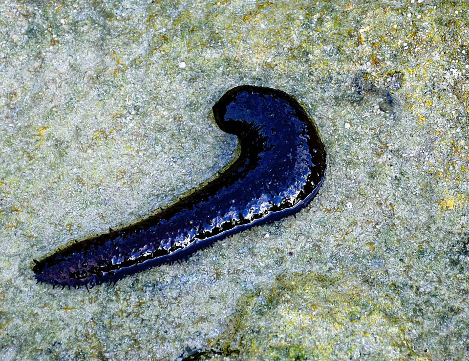 Photo of Astonishing Andaman - December 2018 by Himadri Gorai