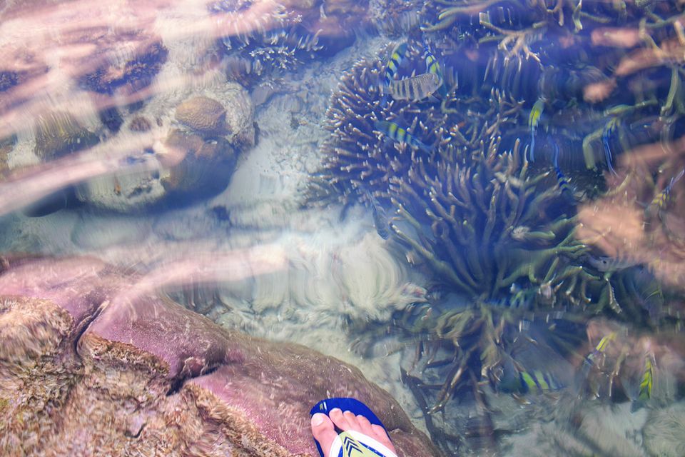 Photo of Astonishing Andaman - December 2018 by Himadri Gorai