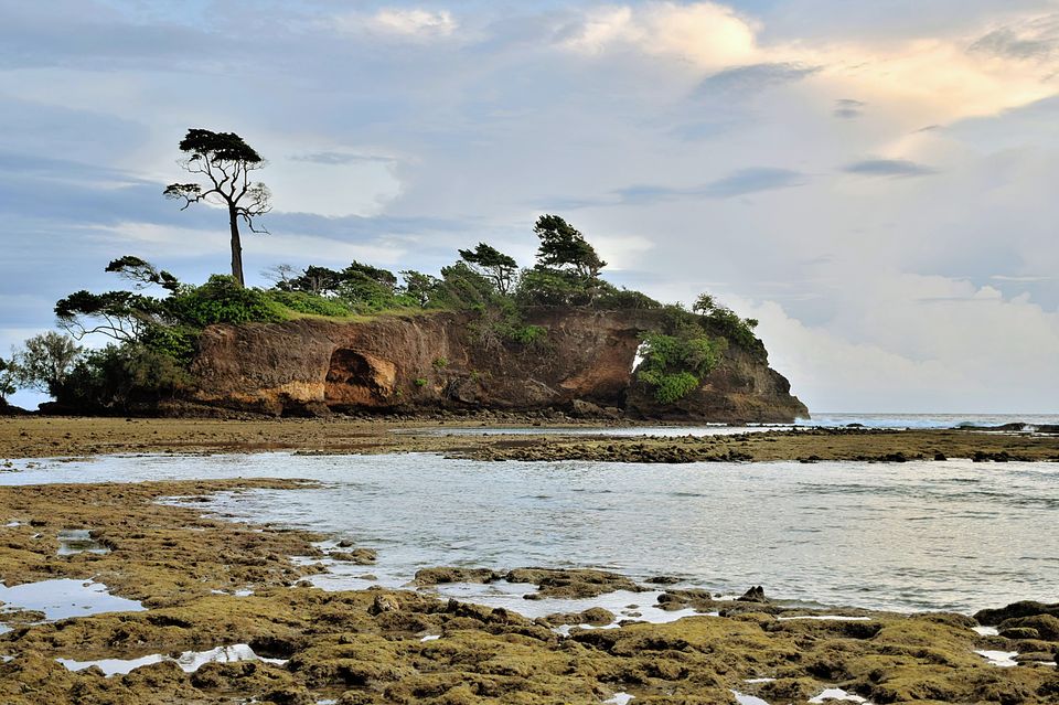 Photo of Astonishing Andaman - December 2018 by Himadri Gorai