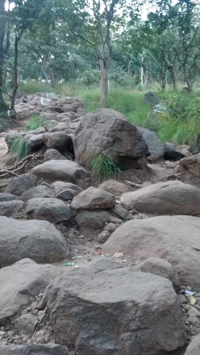 Photo of Adventure trek Parvathamalai by gopi krish