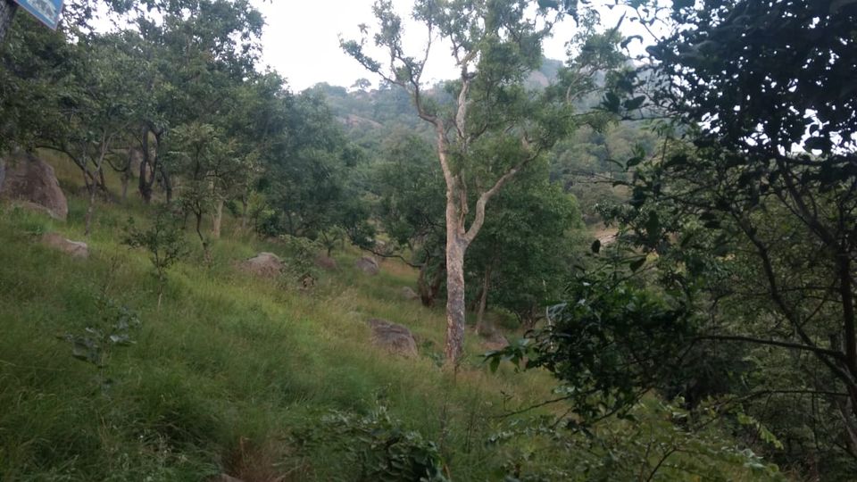 Photo of Adventure trek Parvathamalai by gopi krish