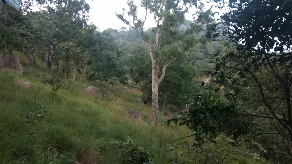 Photo of Adventure trek Parvathamalai by gopi krish