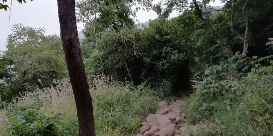 Photo of Parvathamalai Trail, Parvathiamalai R.F., Tamil Nadu, India by gopi krish