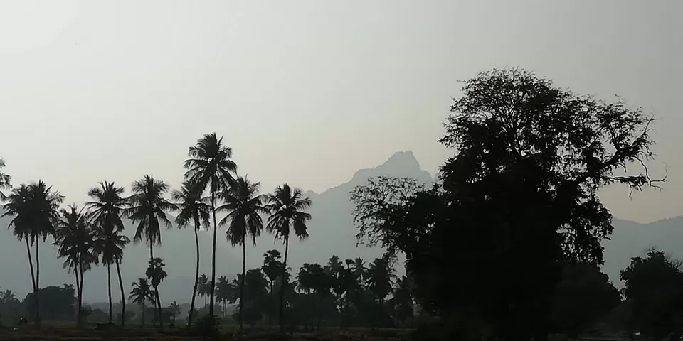 Photo of Parvathamalai Trail, Parvathiamalai R.F., Tamil Nadu, India by gopi krish