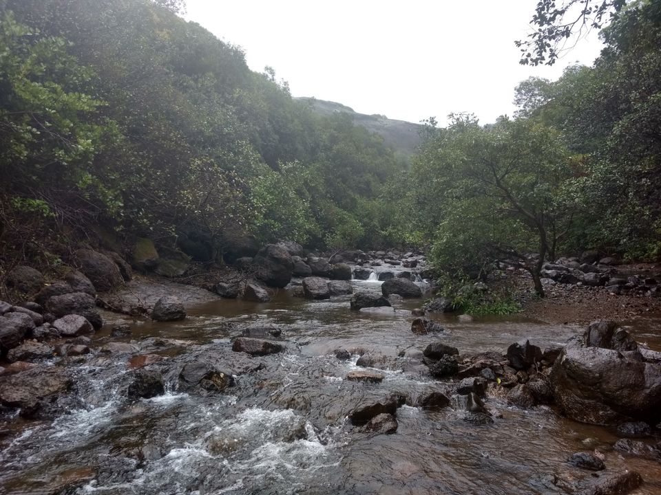 Photo of Monsoon break to western ghats - Harishchandargarh by Raw Whisper