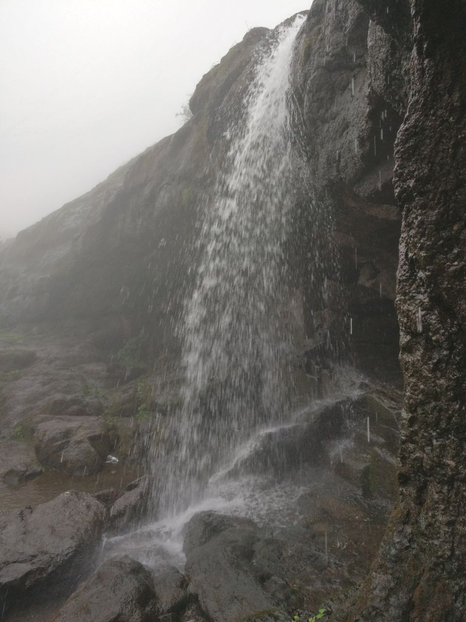 Photo of Monsoon break to western ghats - Harishchandargarh by Raw Whisper