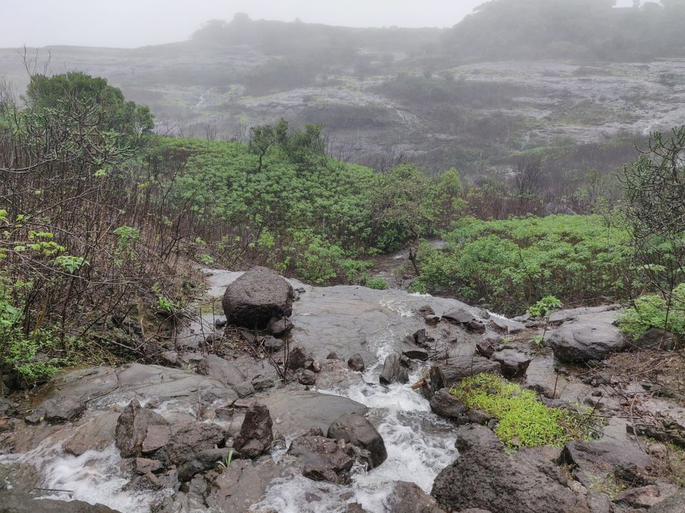 Photo of Monsoon break to western ghats - Harishchandargarh by Raw Whisper