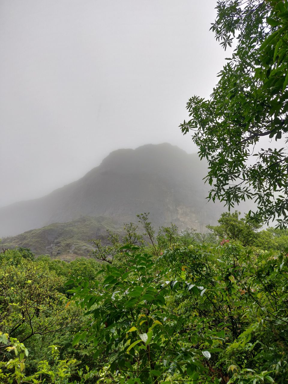 Photo of Monsoon break to western ghats - Harishchandargarh by Raw Whisper