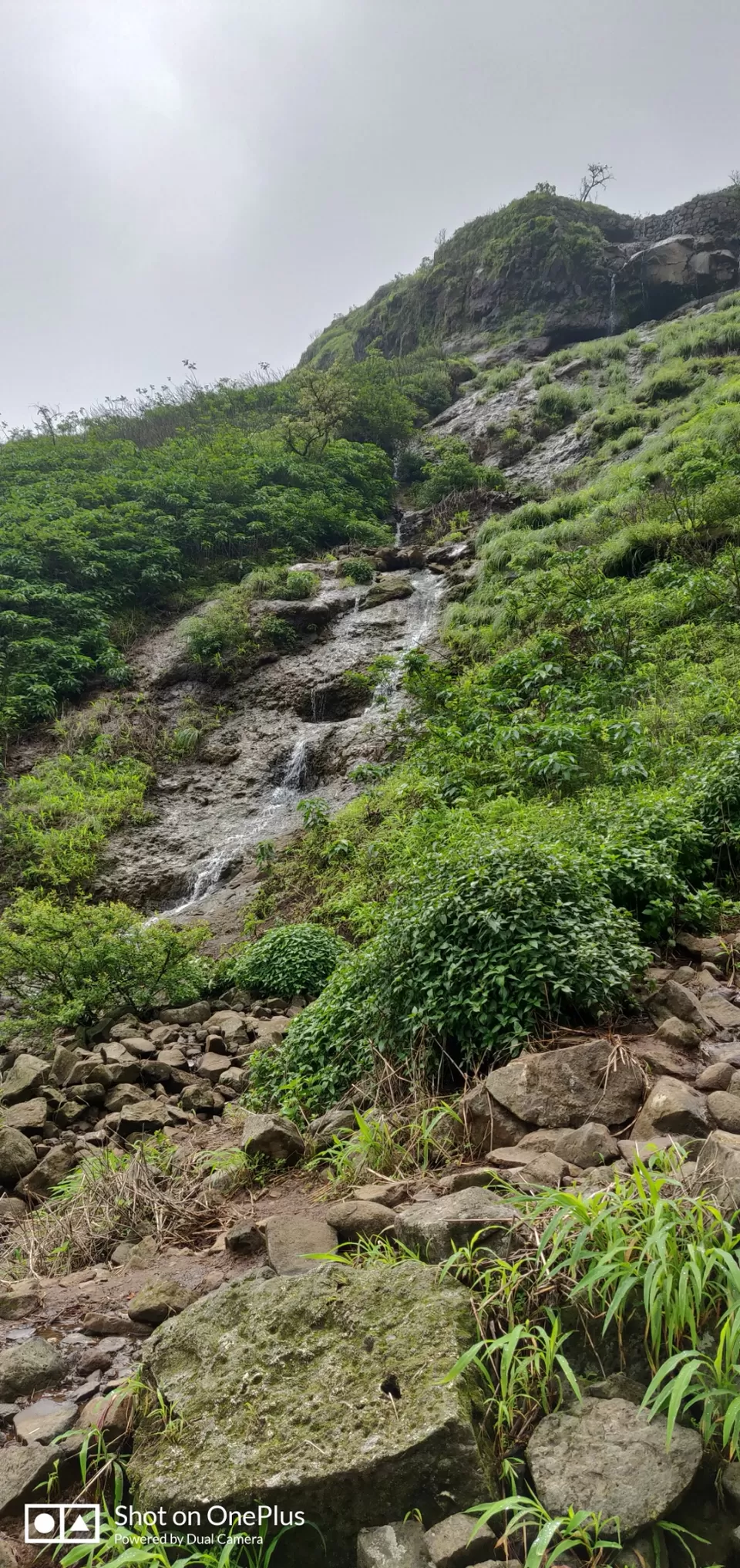 Photo of Lohagad Valley, Visapur Trek Road, Maharashtra, India by Raw Whisper