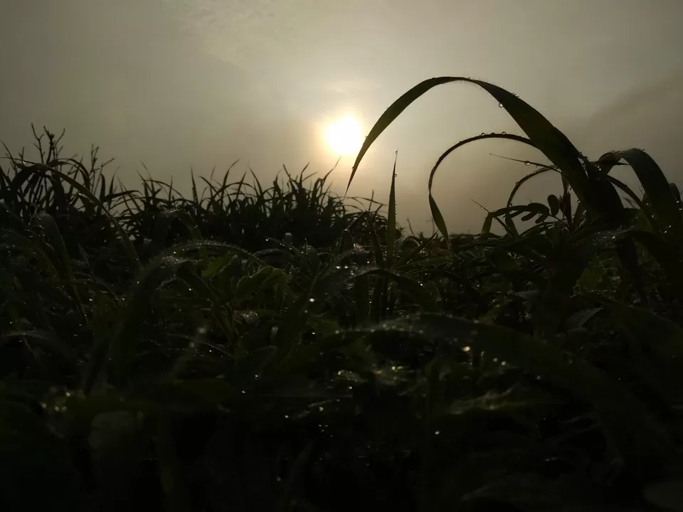 Photo of Lohagad Valley, Visapur Trek Road, Maharashtra, India by Raw Whisper