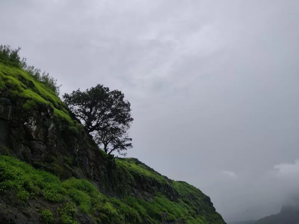 Photo of Lohagad Valley, Visapur Trek Road, Maharashtra, India by Raw Whisper