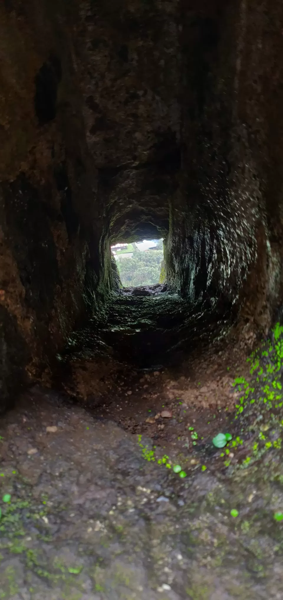 Photo of Lohagad Valley, Visapur Trek Road, Maharashtra, India by Raw Whisper