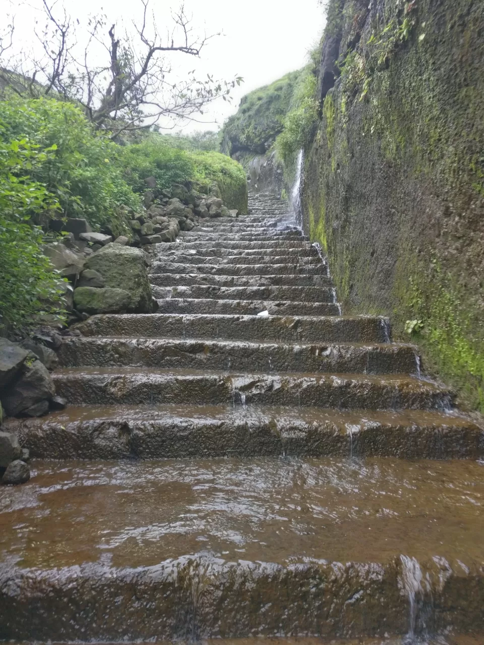 Photo of Lohagad Valley, Visapur Trek Road, Maharashtra, India by Raw Whisper