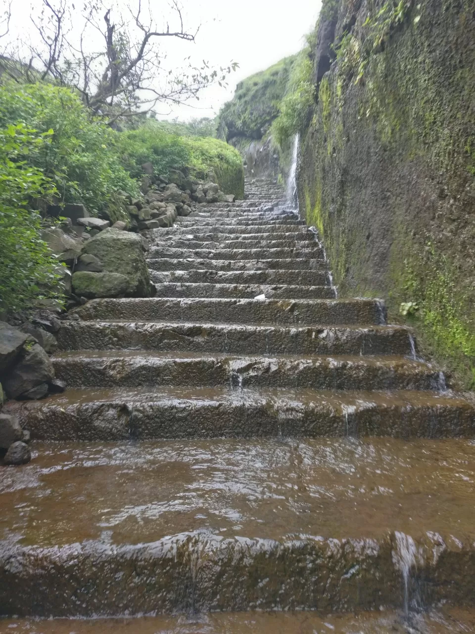 Photo of Lohagad Valley, Visapur Trek Road, Maharashtra, India by Raw Whisper