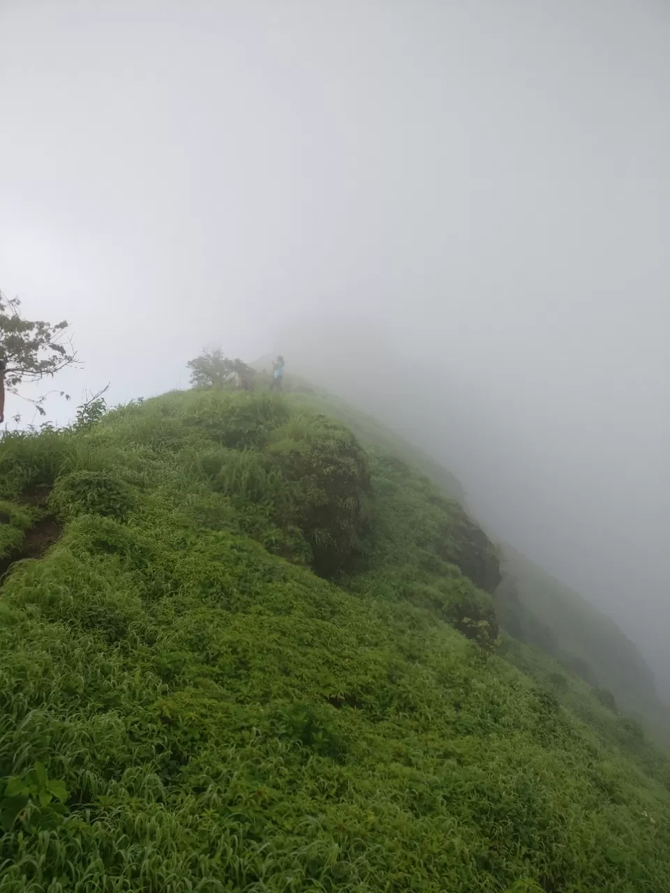 Photo of Lohagad Valley, Visapur Trek Road, Maharashtra, India by Raw Whisper