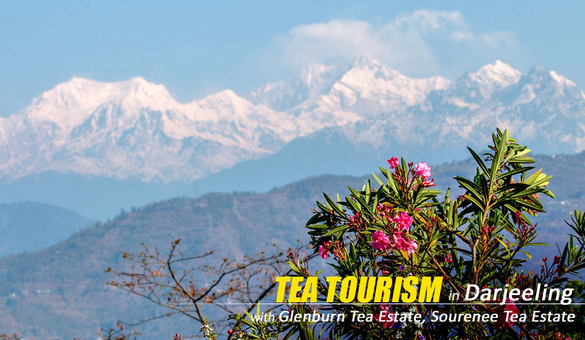 Photo of Darjeeling Tea Tourism - Luxury Heritage Experience 2/4 by NatureWings SandipRaha