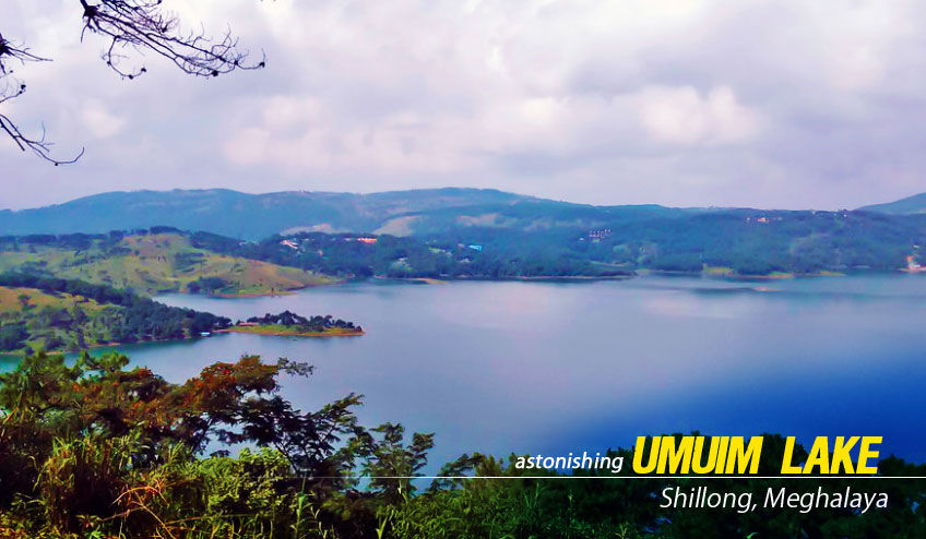 Photo of Shillong Kaziranga Tour Package 1/4 by NatureWings SandipRaha