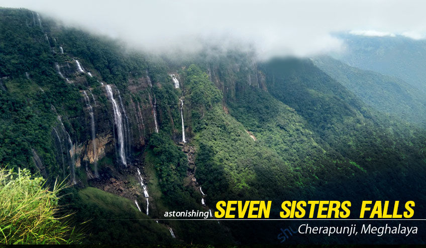 Photo of Shillong Kaziranga Tour Package 2/4 by NatureWings SandipRaha