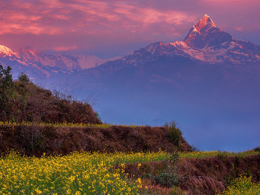 Photo of With Pokhara Tour - Trekking Trails and Expeditions in the Annapurna 7/16 by NatureWings SandipRaha