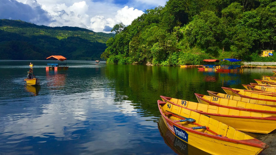 Photo of With Pokhara Tour - Trekking Trails and Expeditions in the Annapurna 13/16 by NatureWings SandipRaha