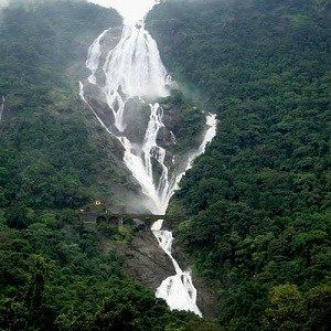 Photo of Best Time To Visit Dudhsagar Waterfalls for Trekking by Ritika Tyagi