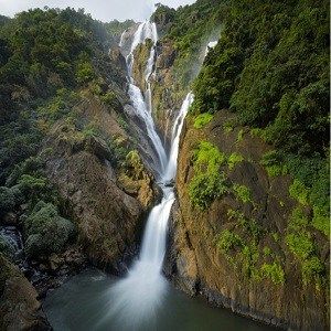 Photo of Best Time To Visit Dudhsagar Waterfalls for Trekking 4/4 by Ritika Tyagi