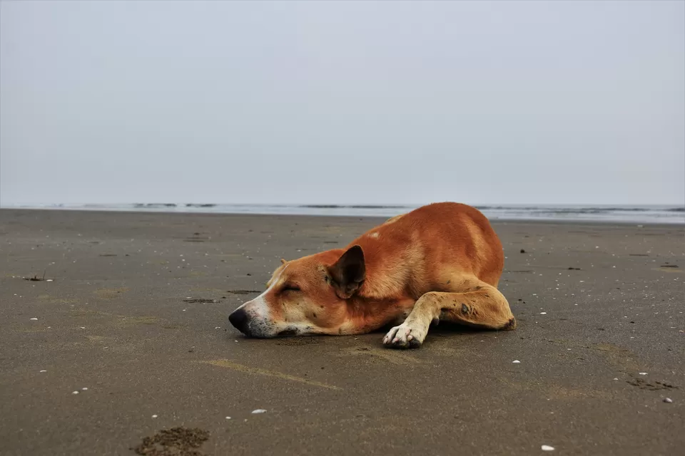 Photo of Mandarmani, West Bengal, India by ARCHANA SINGH
