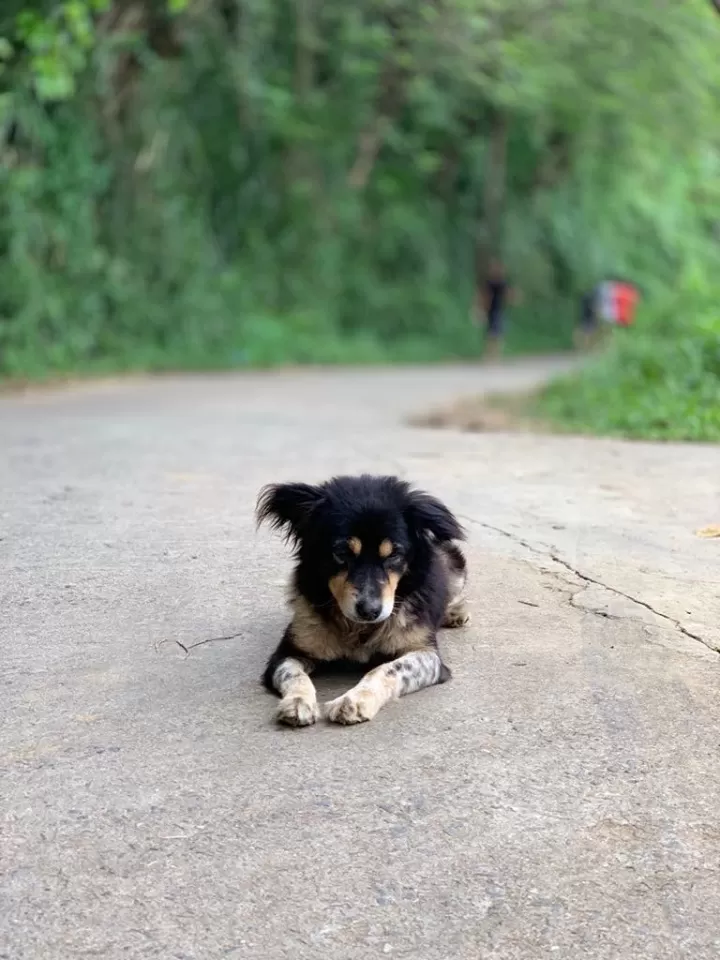 Photo of Ravana's Cave, Ella, Sri Lanka by Mayank Singhal