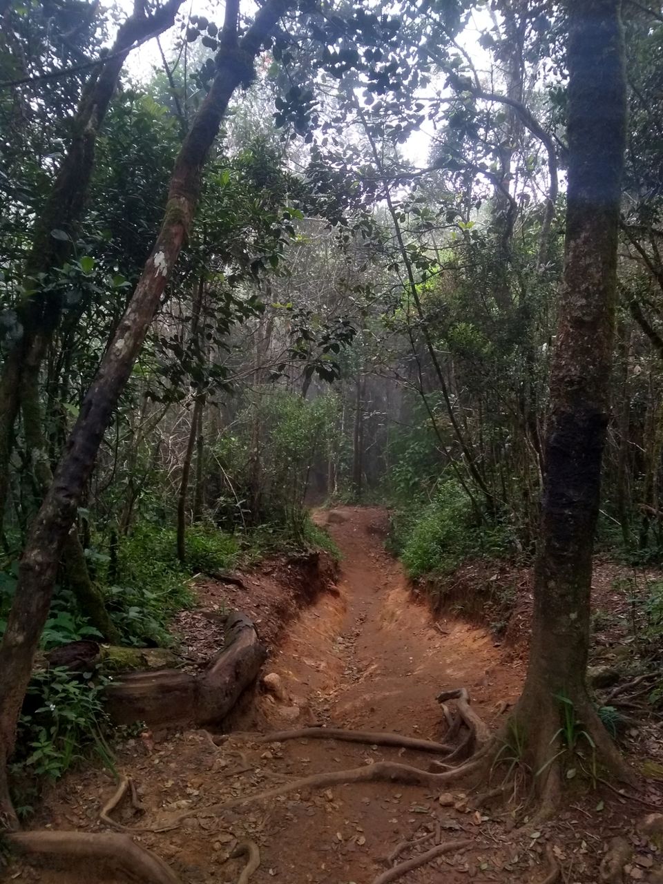 Photo of Ella, Sri Lanka by Ameera Azeez