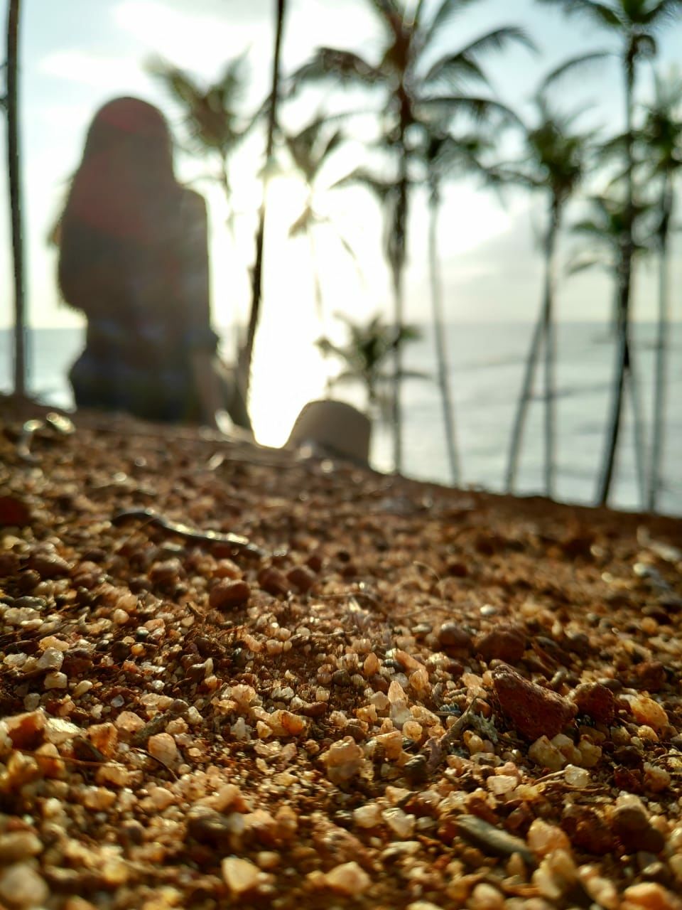 Photo of Mirissa, Sri Lanka by Ameera Azeez