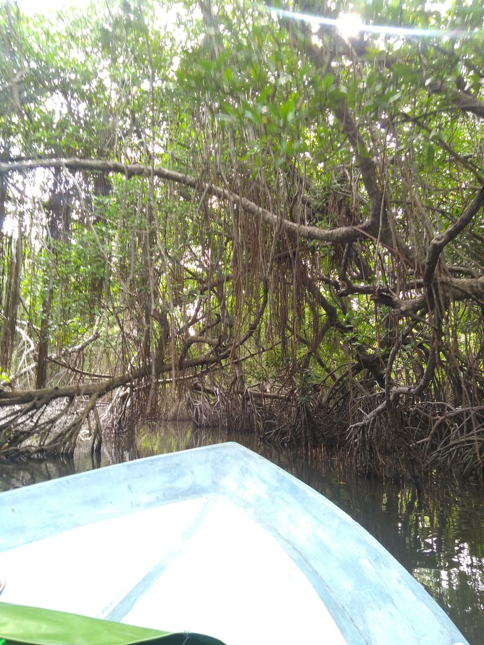 Photo of Bentota, Sri Lanka by Ameera Azeez