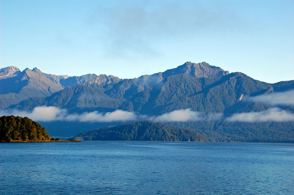 Photo of Going Wild in South Island, New Zealand 6/7 by Terry Gardner