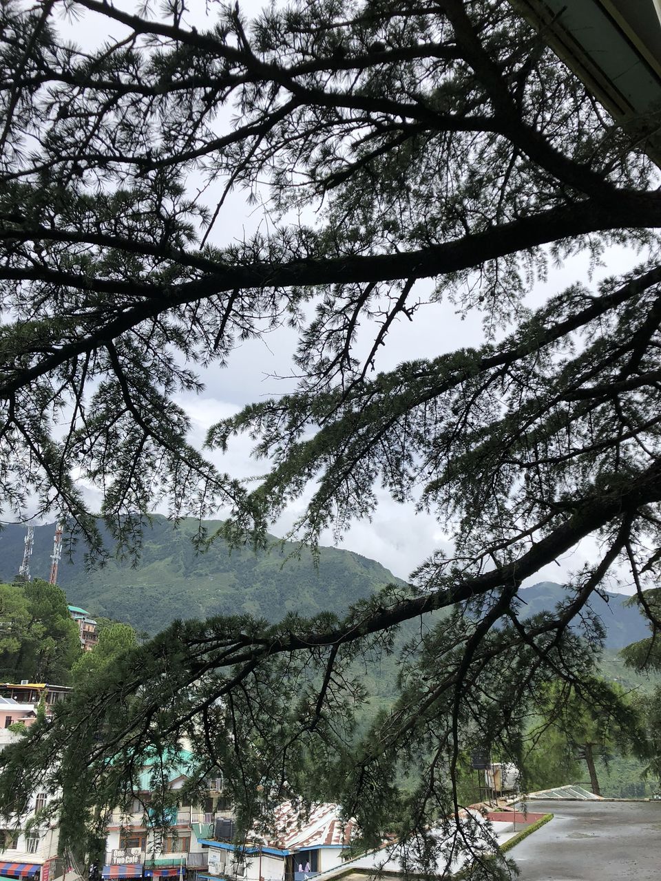 Photo of His Holiness the Dalai Lama's Main Temple, Temple Road, McLeod Ganj, Dharamshala, Himachal Pradesh, India by Smriti Shukla