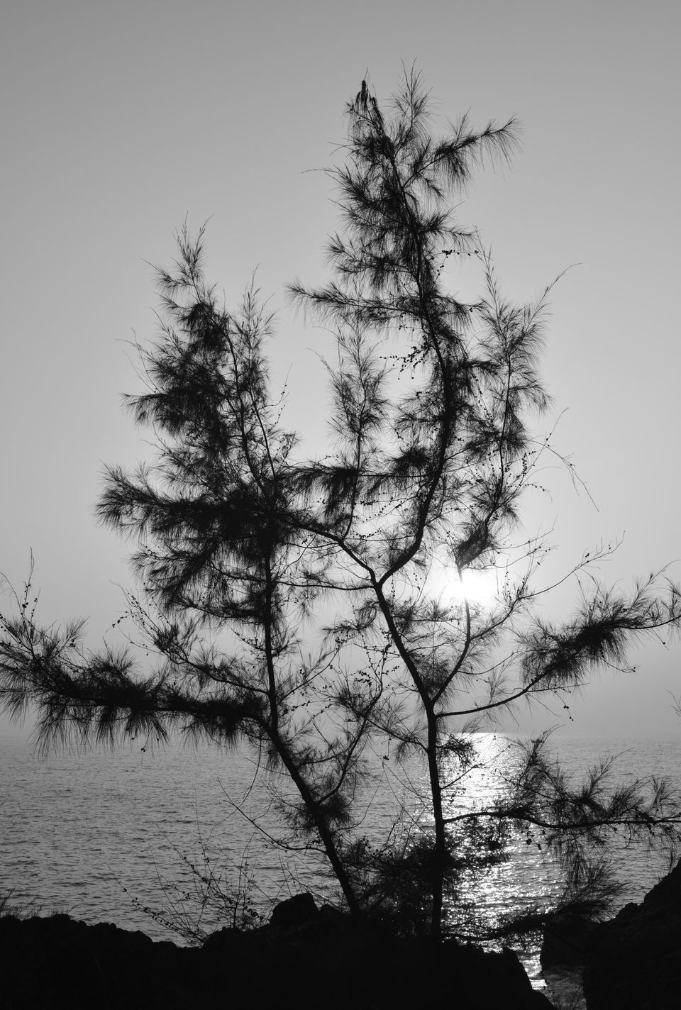 Photo of Gorgeous Gokarna 34/36 by Amit Pal