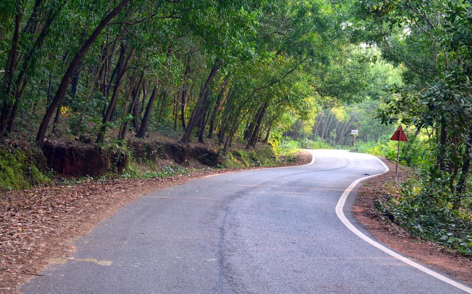 Photo of Gorgeous Gokarna 33/36 by Amit Pal
