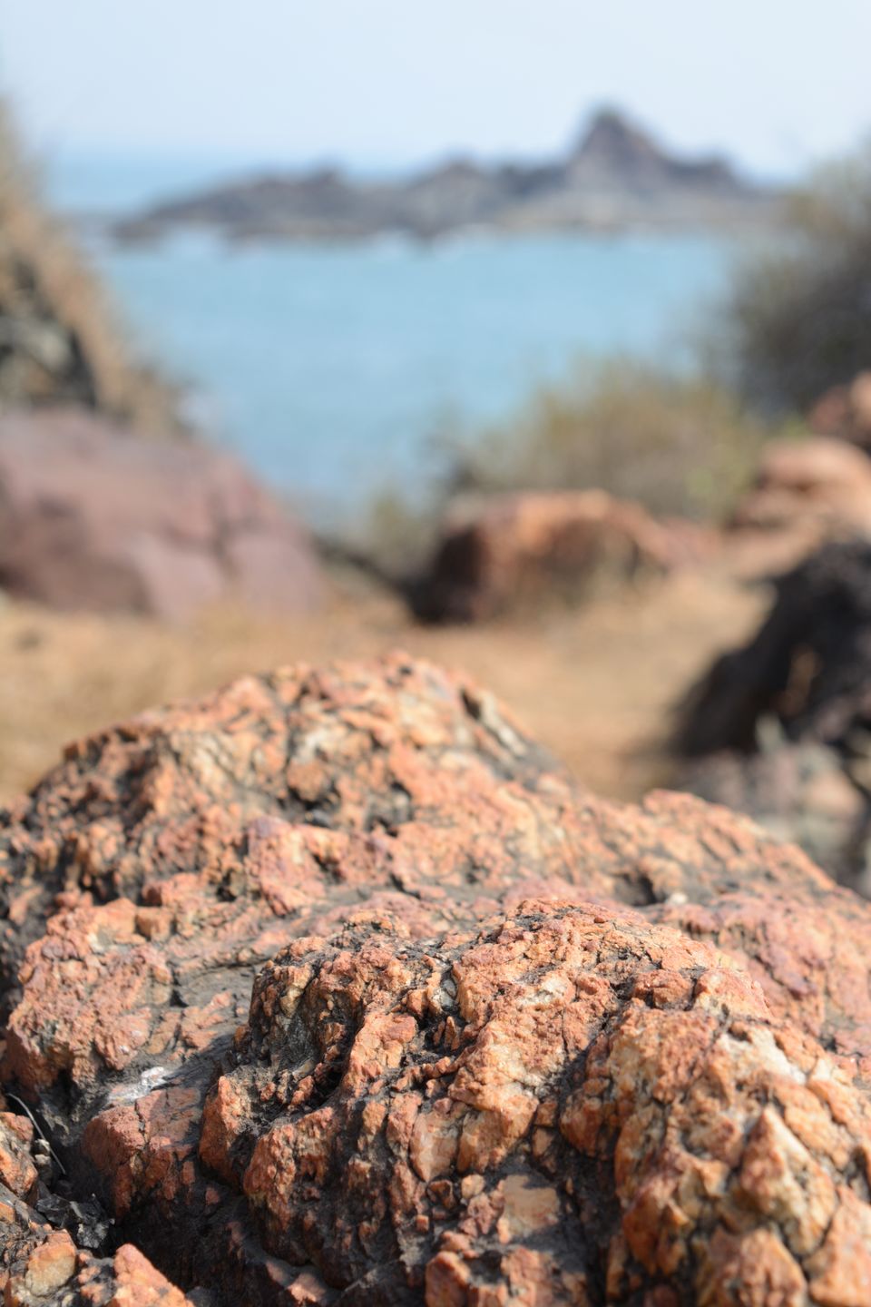 Photo of Gorgeous Gokarna 4/36 by Amit Pal