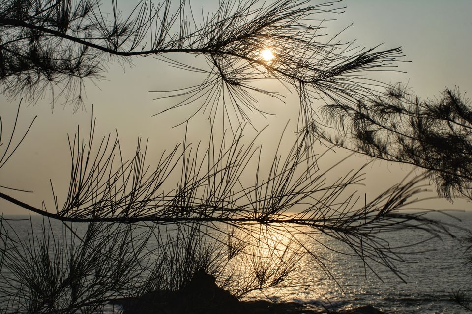 Photo of Gorgeous Gokarna 5/36 by Amit Pal